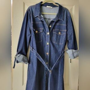 Eloquii Denim Dress